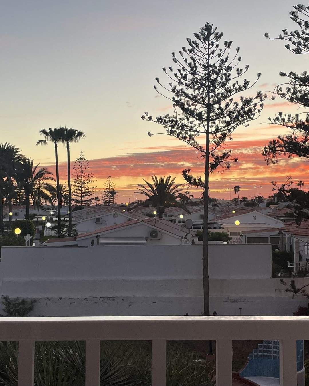 Sunset sky behind pine trees and palm trees seen from the loggia
